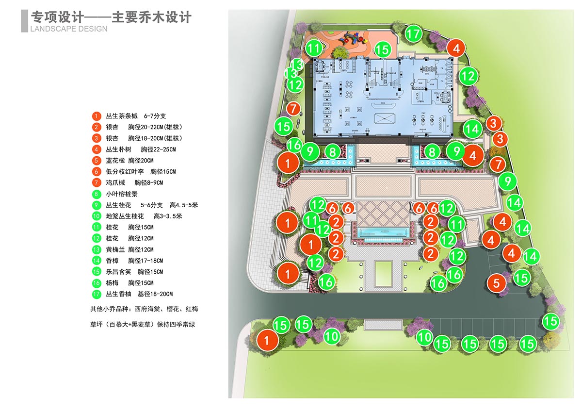 4.01  主要喬木設(shè)計(jì).jpg