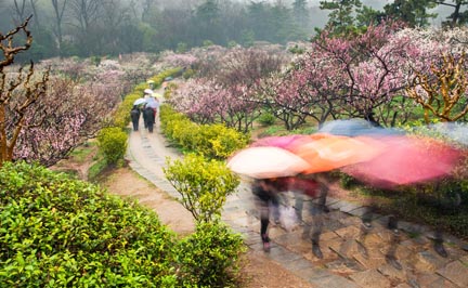 走馬桃花山公園——走馬觀花